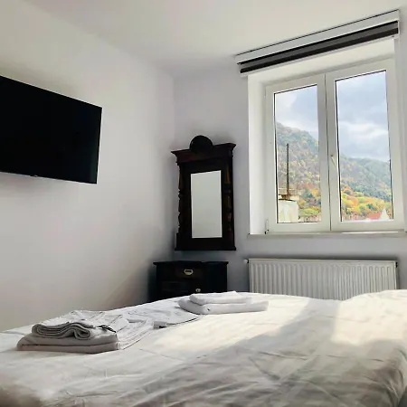 Joy Mountain View * Brasov